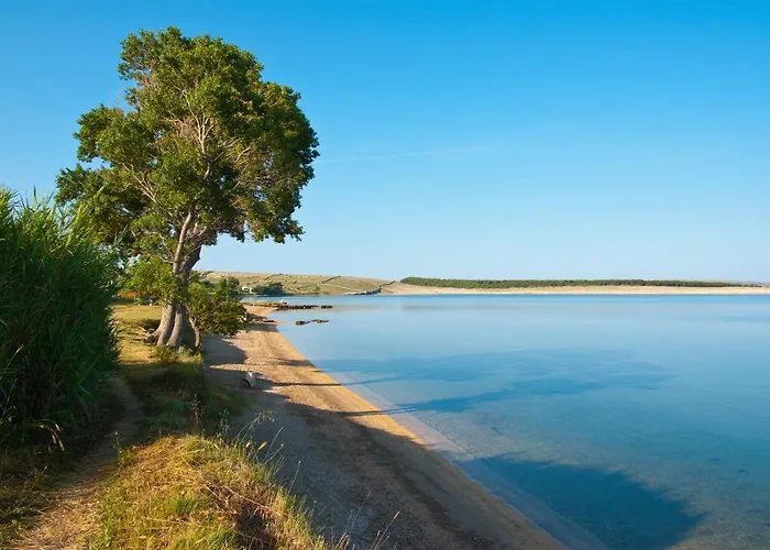 아파트 Family-friendly With Swimming Pool Povljana, Pag - 244 *